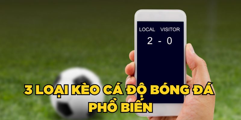 TOP 3 loại kèo cá độ bóng đá phổ biến