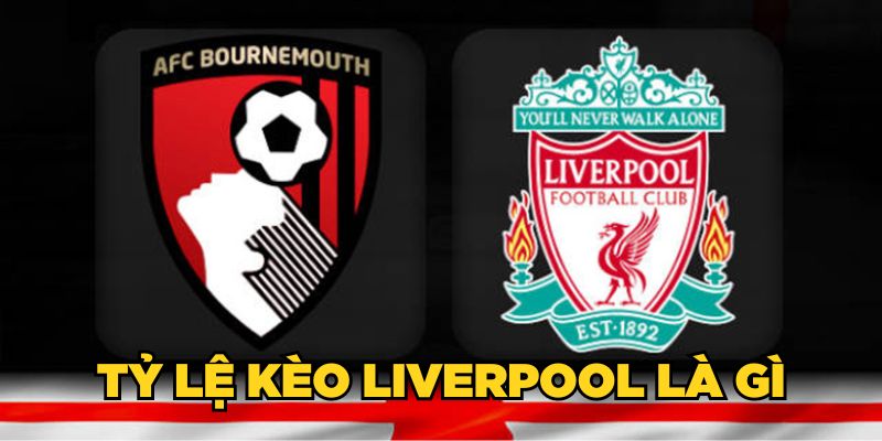 Tỷ lệ kèo Liverpool là gì 